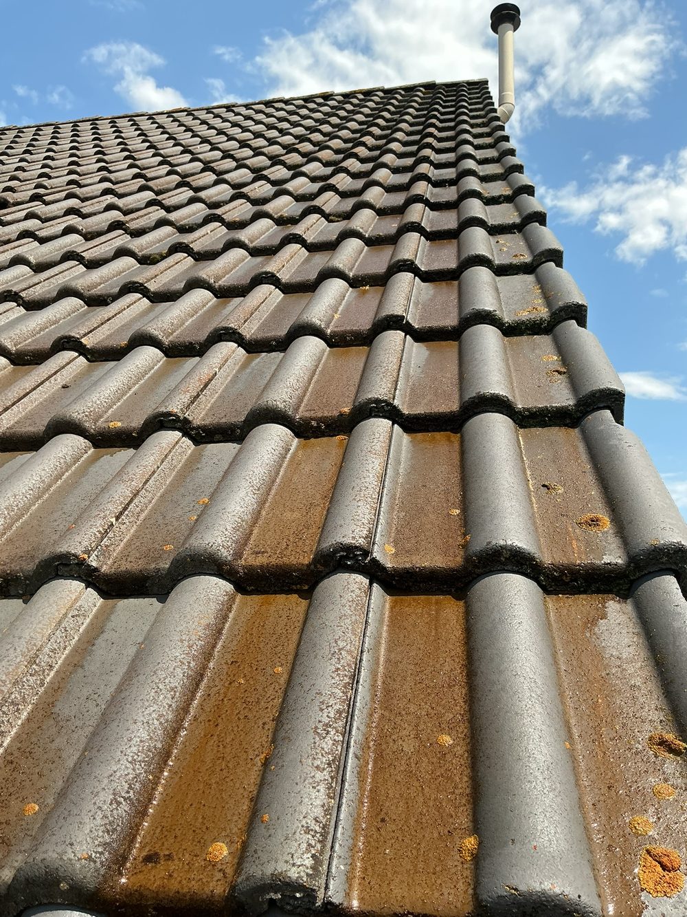 Tuiles anthracite après entretien, secteur ardennais