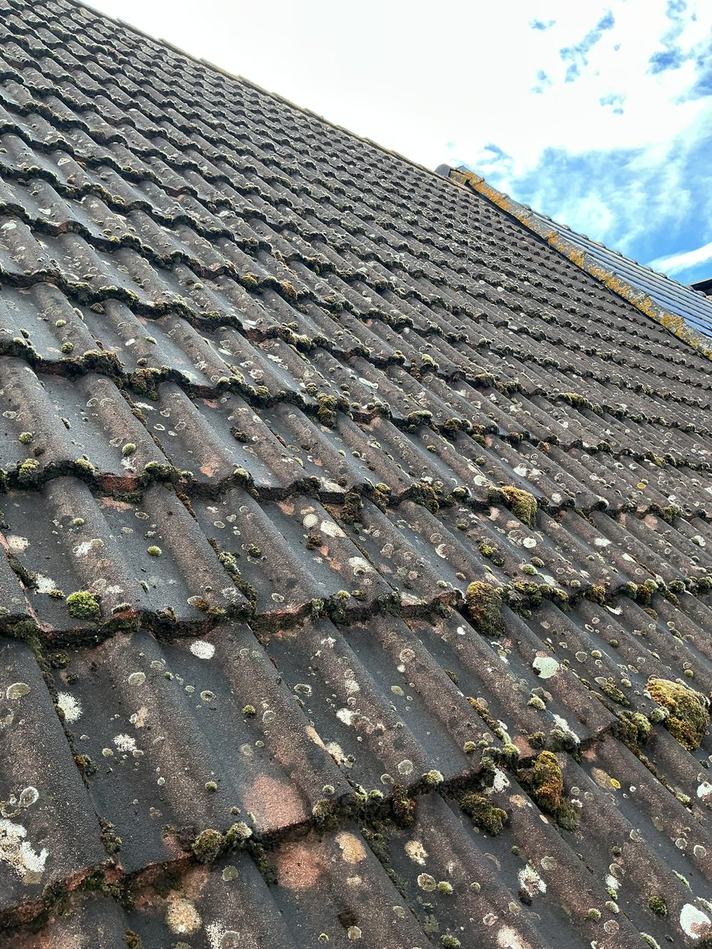 Toiture gagnée par la mousse, secteur de Laon